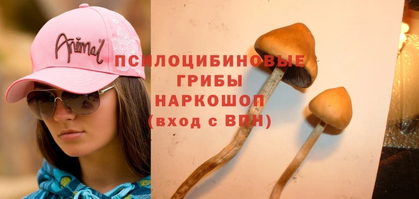 амф Алексеевка